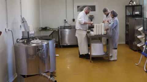 Les producteurs laitiers fermiers enregistrent d'importantes pertes à cause du covid-19. « Beaucoup d'exploitants seront privés de revenus et certaines structures sont en péril », alerte l'ANPLF. (©Terre-net Média) Les producteurs laitiers fermiers enregistrent d'importantes pertes à cause du covid-19. « Beaucoup d'exploitants seront privés de revenus et certaines structures sont en péril », alerte l'ANPLF. (©Terre-net Média)