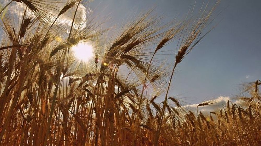 Avec le changement climatique, la distribution des pluies sera inégale au cours de l'année : l'été sera de plus en plus sec et l'hiver plus humide. (©Pixabay)