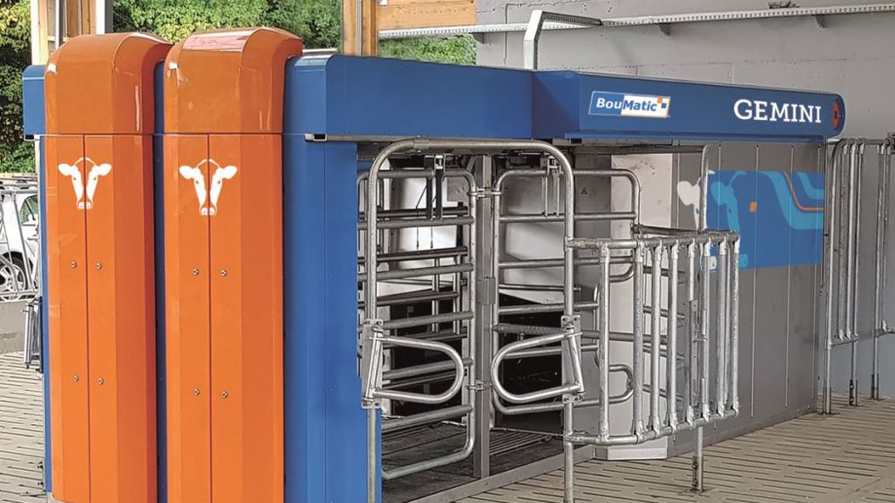 Comment passer à la traite robotisée sans bouleverser son système ? (©BouMatic)