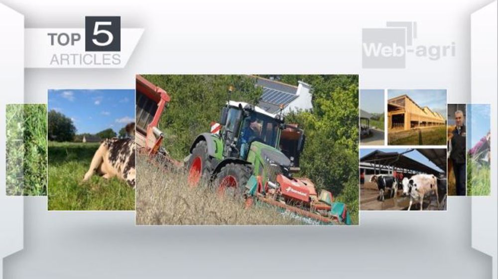 Articles les plus lus sur Web-agri cette semaine. (©Terre-net Média)