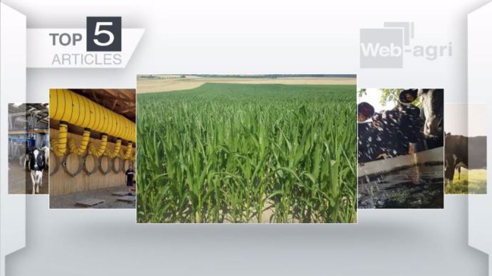 Articles les plus lus sur Web-agri cette semaine. (©Terre-net Média)