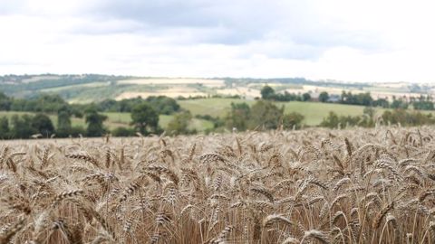 Retrouvez, en encadré à la fin de l'article, les 14 engagements de développement durable que s'est fixé Corteva Agriscience pour 2030. (©Pixabay)
