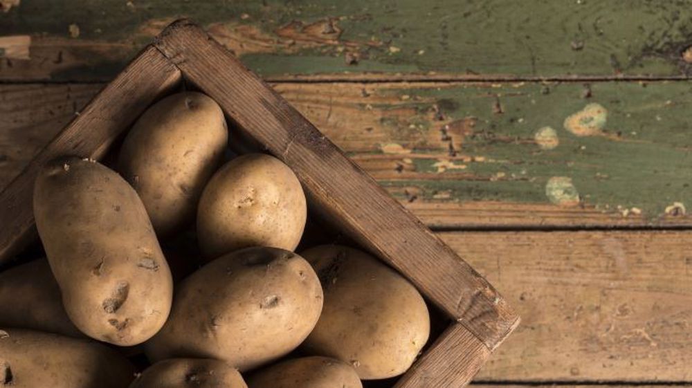 Depuis le début de la campagne, les achats de pommes de terre par les ménages ont augmenté de 7 % par rapport à la campagne précédente. (©Pixabay)