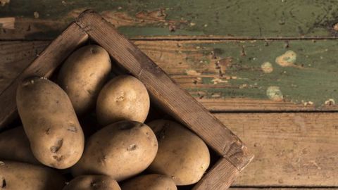 Depuis le début de la campagne, les achats de pommes de terre par les ménages ont augmenté de 7 % par rapport à la campagne précédente. (©Pixabay)