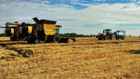 En Ukraine, le rendement moyen du blé progresse à mesure que la récolte prend de l'ampleur. (©@k_gritsko)
