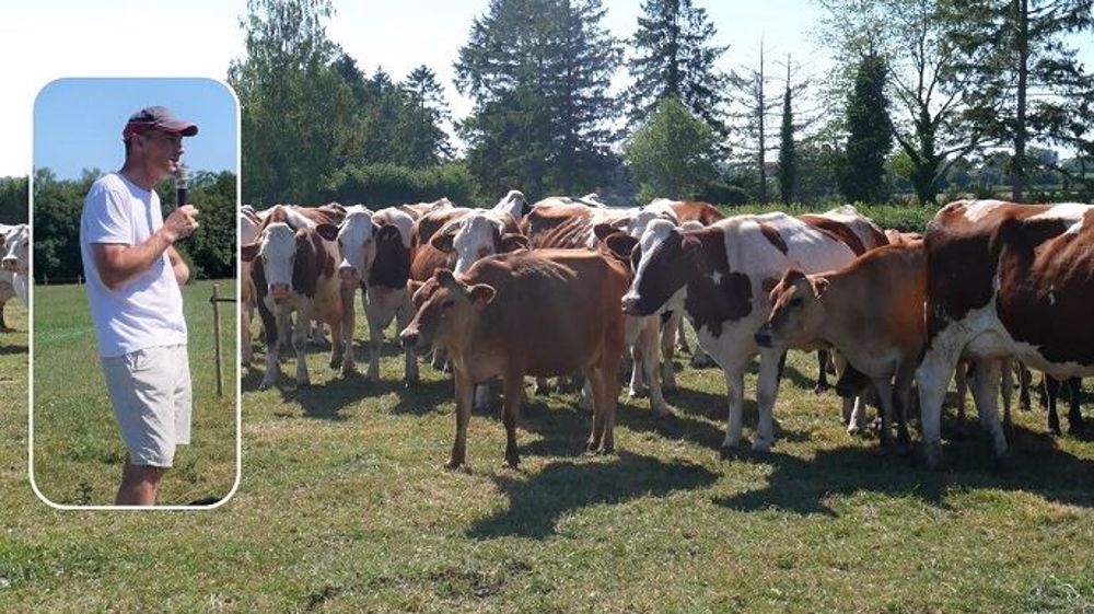 De déficitaire en fourrage, il devient excédentaire grâce au pâturage tournant
