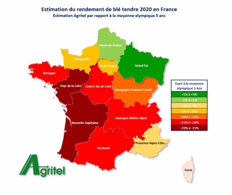 Variabilité des rendements 