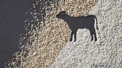 JRS propose Arbocel, un concentré de cellulose pure JRS propose Arbocel, un concentré de cellulose pure
