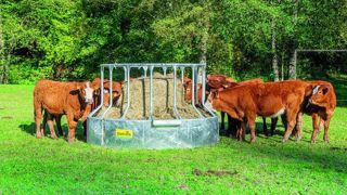 Patura présente son nouveau râtelier circulaire 15 places pour bovins anti-gaspillage de fourrage. (©Patura) Patura présente son nouveau râtelier circulaire 15 places pour bovins anti-gaspillage de fourrage. (©Patura)
