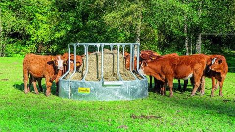 Patura présente son nouveau râtelier circulaire 15 places pour bovins anti-gaspillage de fourrage. (©Patura) Patura présente son nouveau râtelier circulaire 15 places pour bovins anti-gaspillage de fourrage. (©Patura)