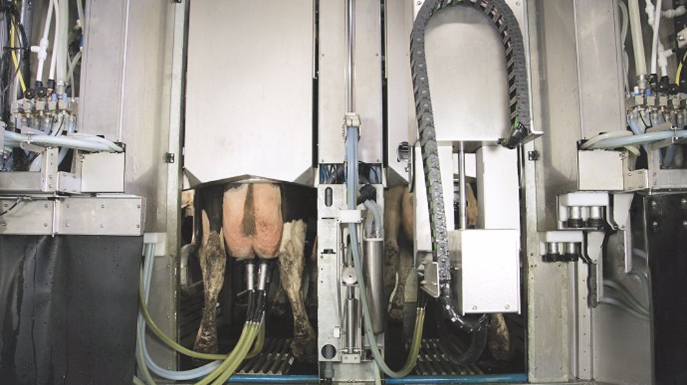 Comment passer à la traite robotisée sans bouleverser son système ? (©BouMatic)