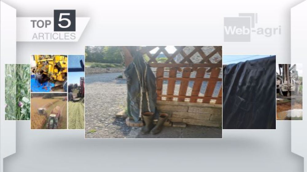 Articles les plus lus sur Web-agri.fr. (©Terre-net Média)