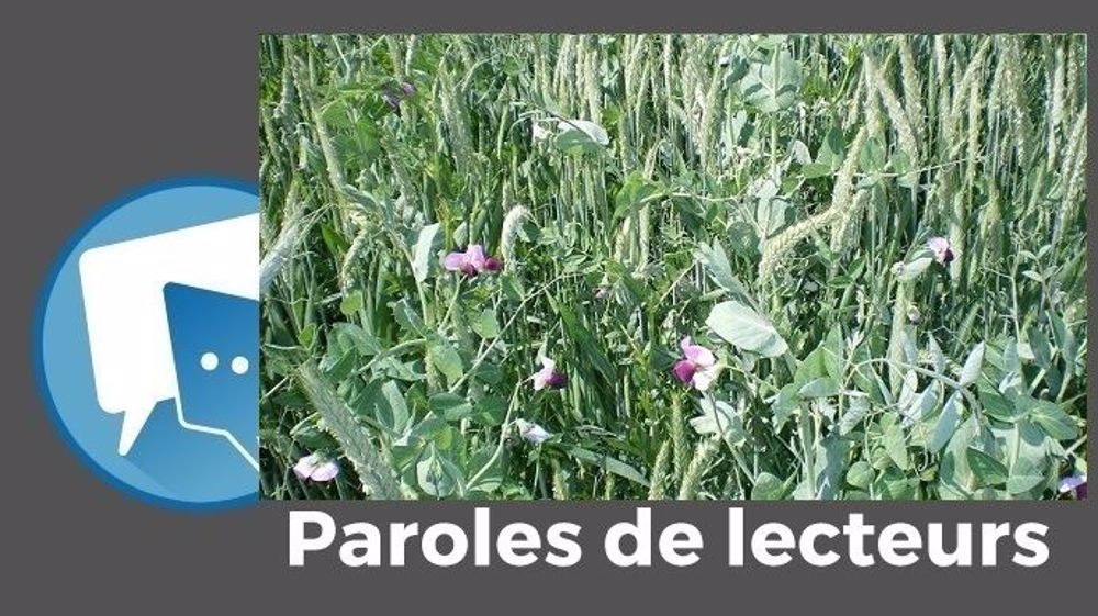 Selon steph72, « il faut regarder la marge et pas seulement le rendement ! » (©BTPL // Création Terre-net Média)