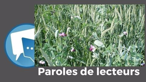Selon steph72, « il faut regarder la marge et pas seulement le rendement ! » (©BTPL // Création Terre-net Média) Selon steph72, « il faut regarder la marge et pas seulement le rendement ! » (©BTPL // Création Terre-net Média)