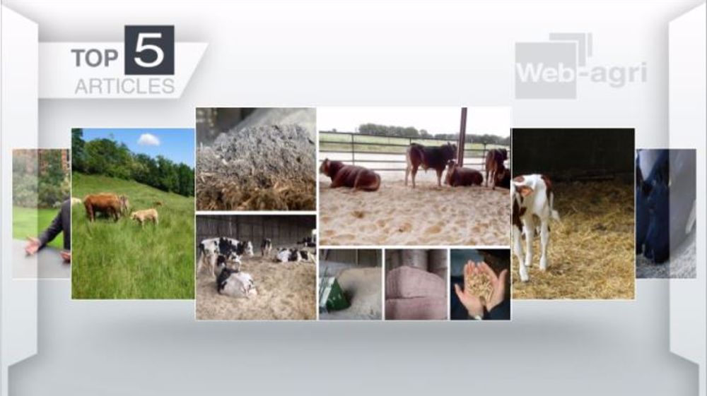 Articles les plus lus sur Web-agri cette semaine. (©Terre-net Média