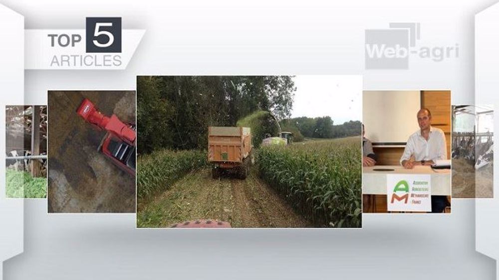Top articles de Web-agri cette semaine. (©Terre-net Média)