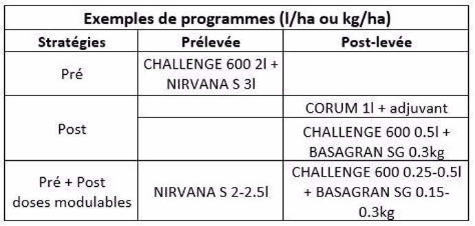 Exemples de programmes de désherbage des pois d'hiver