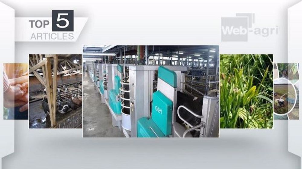 Top articles de Web-agri cette semaine. (©Terre-net Média)