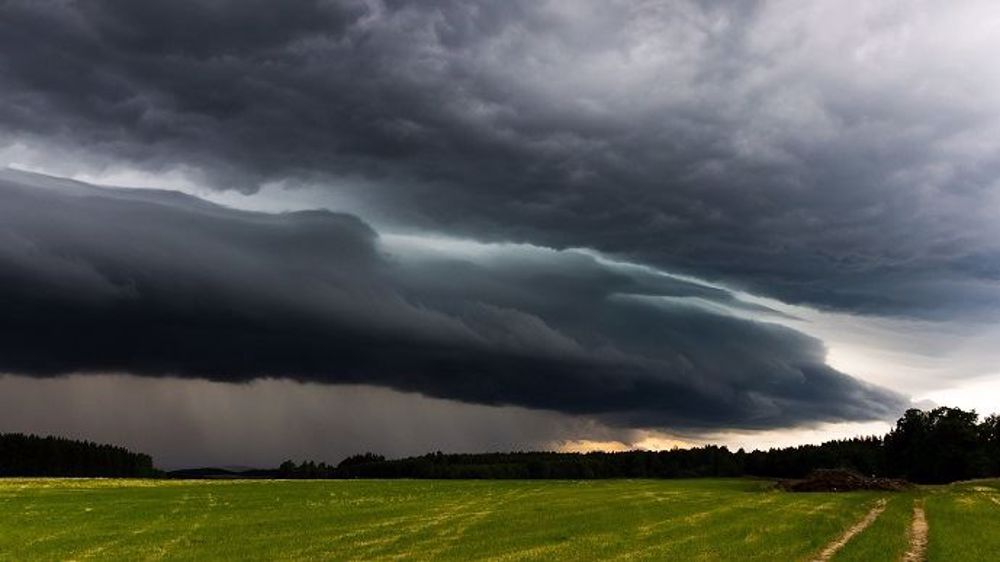 Les pluies tombées en Europe ne semblent pas bénéfiques partout. (©Pixabay)