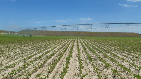 134 ha appartenant à 4 agriculteurs sont sécurisés en alimentation en eau grâce à ce projet. (©Chambre d'agriculture des Landes)