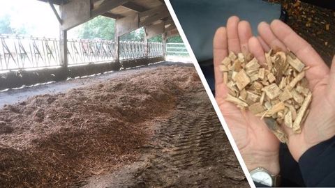 Le bois plaquettes en litière : comment l'utiliser ? Le bois plaquettes en litière : comment l'utiliser ?