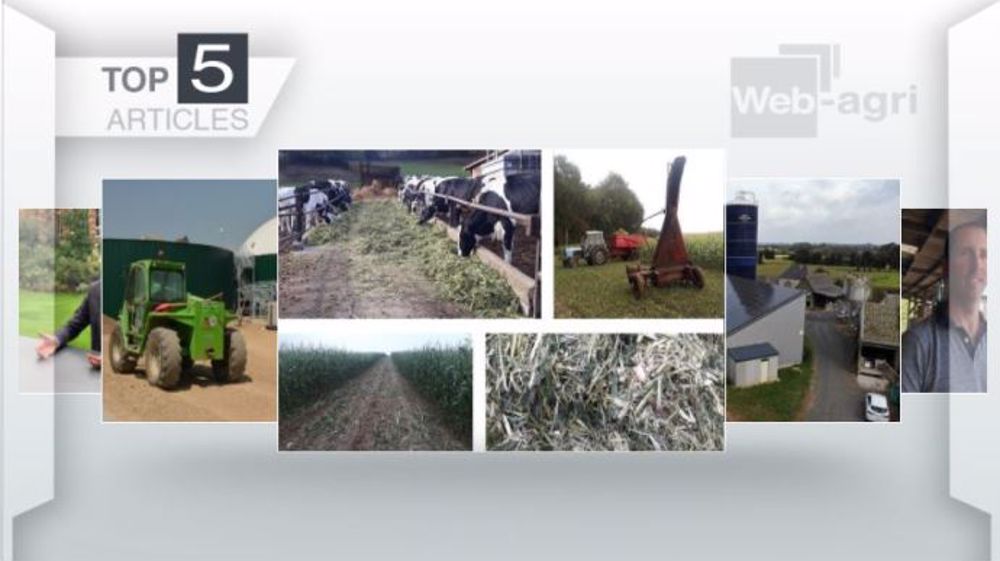 Articles les plus lus sur Web-agri cette semaine. (©Terre-net Média)