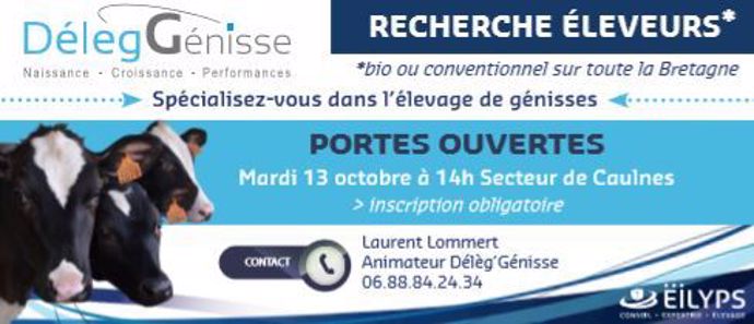 Eilyps propose aux éleveurs de se spécialiser dans l'élevage de génisses via le service Délèg'génisse