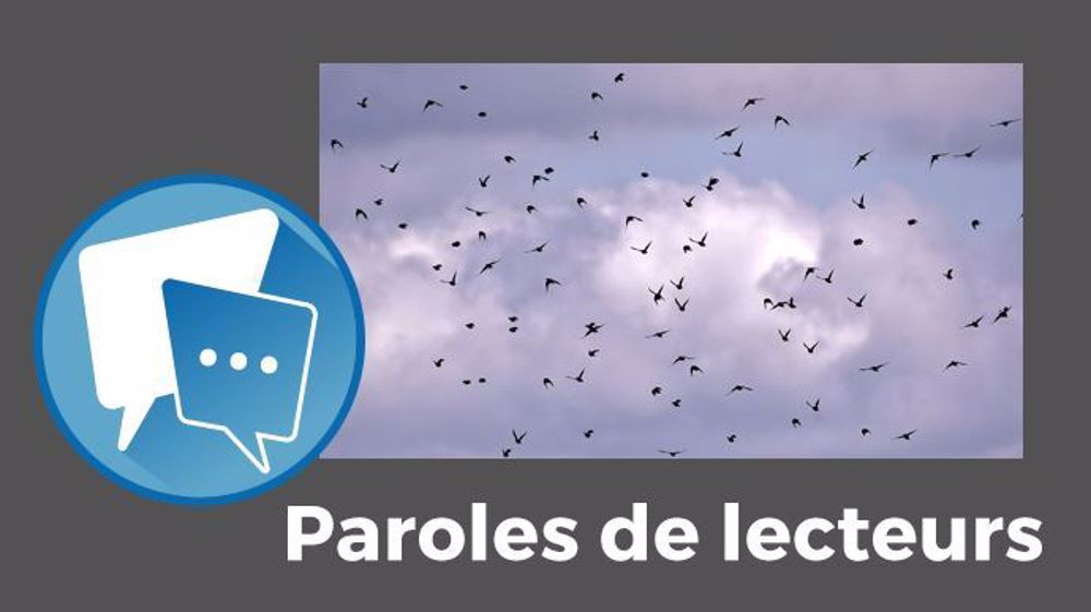  « L'écologie de certains est déconnectée de la réalité du terrain », fait remarquer Steph72. (©CC // Création Terre-net Média)