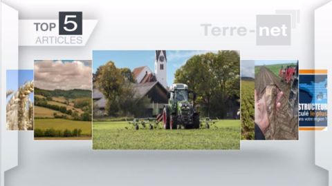 Articles les plus lus sur Terre-net cette semaine. (©Terre-net Média)