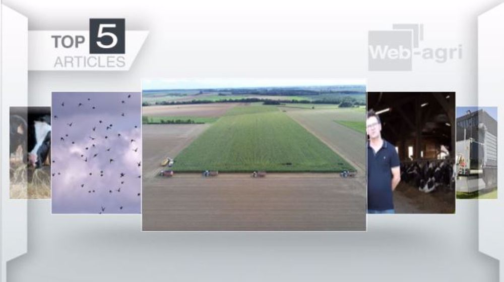 Articles les plus lus sur Web-agri cette semaine. (©Terre-net Média)