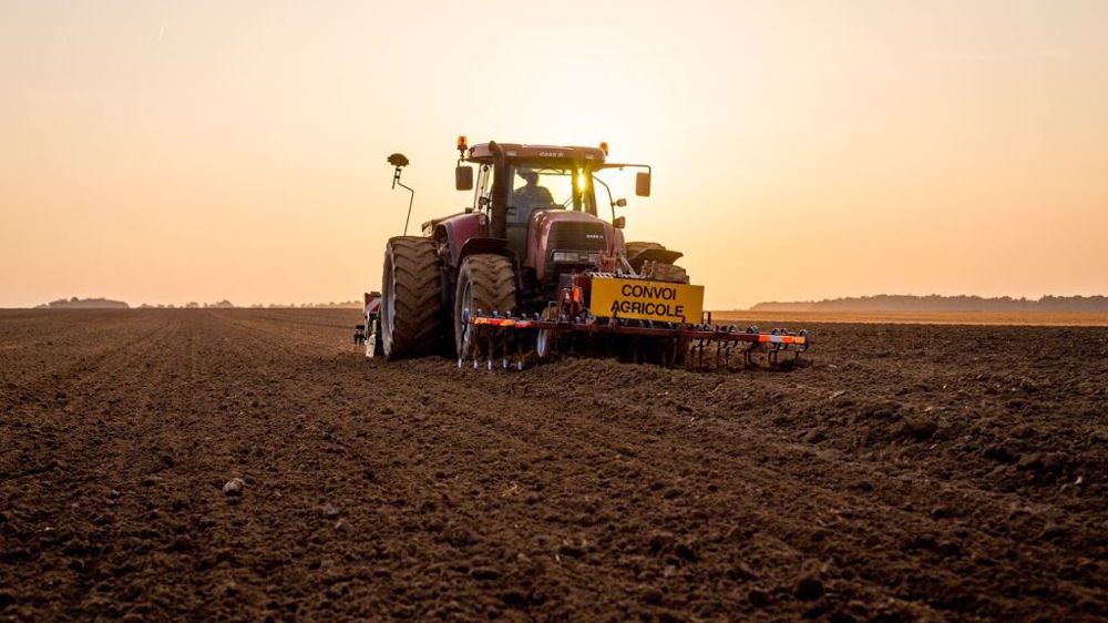 Les précautions nécessaires en cas de semis tardifs de céréales. (©Nadège Petit @agrizoom/<a href="https://sites.google.com/view/franceagritwittos/banque-dimages" title="Banque d'images FranceAgriTwittos" target="_blank">Banque d'images FranceAgriTwittos</a>)