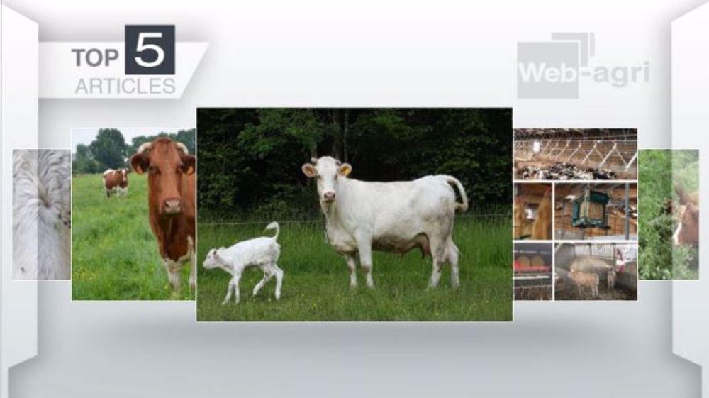 Articles les plus lus sur Web-agri cette semaine. (©Terre-net Média)