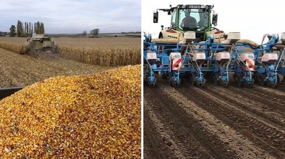 Plus que 36 % des maïs à récolter en France mais 77 % à semer en Argentine ! (©Terre-net Média, Datagri)