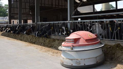 L'objectif principal en investissant dans un robot repousse-fourrage est de gagner du temps. Mais attention à ne pas perturber le comportement du troupeau. (©Terre-net Média)