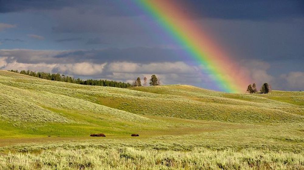 Les pluies se font plus rares en France mais le risque d'excès reste présent. (©PixaBay)