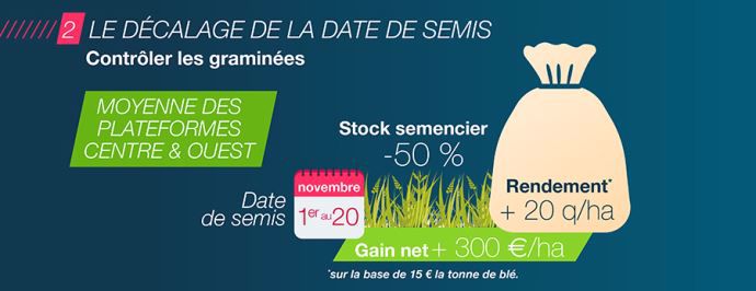 Décaler les semis pour lutter contre les adventices.