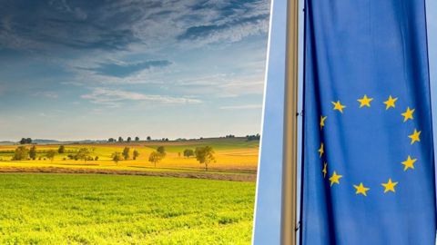 Le conseil et le Parlement de l'UE ont adopté, la semaine dernière, leur position respective sur la nouvelle Pac. (©Pixabay) Le conseil et le Parlement de l'UE ont adopté, la semaine dernière, leur position respective sur la nouvelle Pac. (©Pixabay)