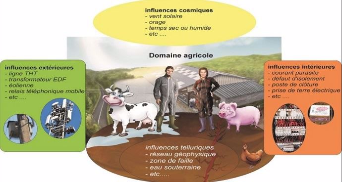 Tout ce qui peut perturber l'élevage sans qu'on s'en rende compte (courants parasites, failles souterraines...)