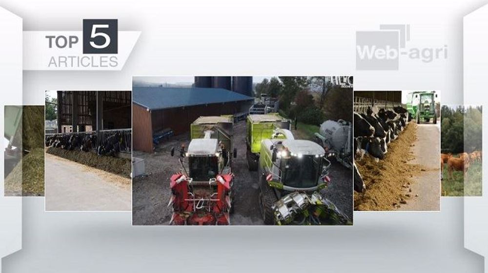 Top articles de Web-agri cette semaine. (©Terre-net Média)