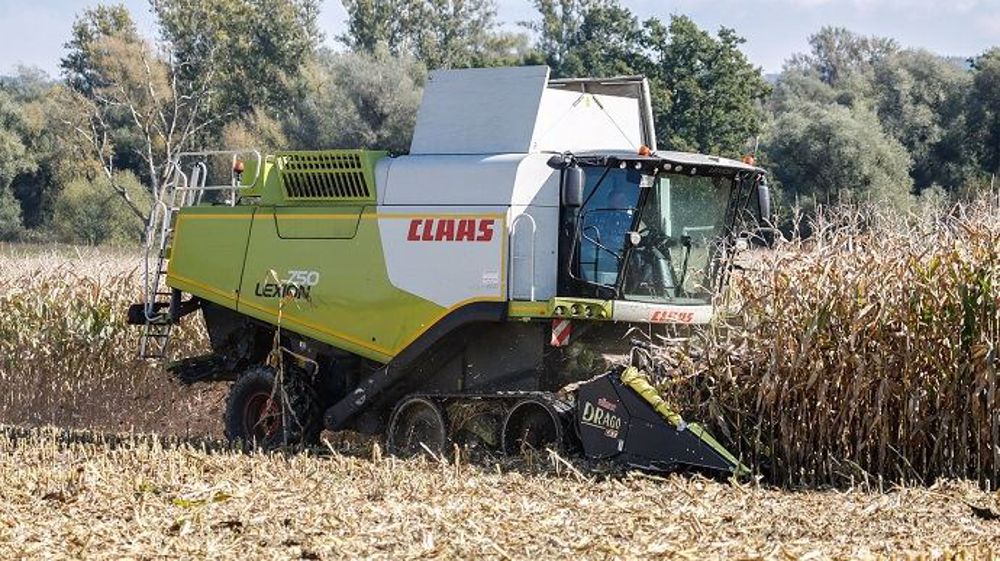 Le monde devrait récolter 1,156 Md de tonnes de maïs grain en 2020 et l'Europe 62,6 Mt. (©Pixabey)