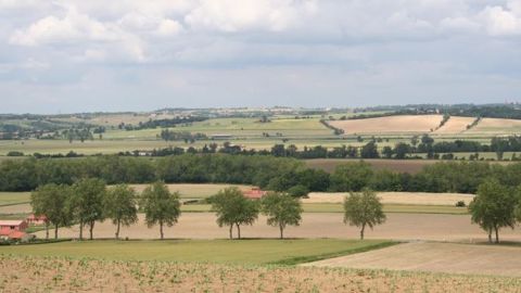 Le budget agricole prévisionnel pour 2021 serait de 4,8 milliards d'euros. (©Terre-net Média)