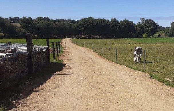 Chemin d'accès au pâturage