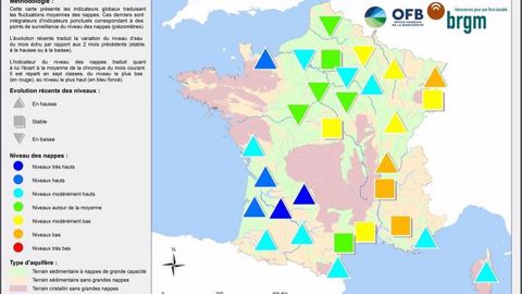 État des nappes phréatiques au 1er novembre 2020. <a href="https://www.brgm.fr/sites/default/files/communique-nappes-eau-souterraine-2020-11-carte.pdf" target="_blank">Cliquez sur la carte pour l'agrandir.</a> (©BRGM)
