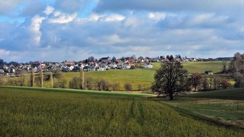 L'artificialisation concerne à 70 % des terres agricoles riches. (©Pixabay)