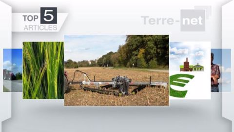 Les cinq articles les plus lus de la semaine sur Terre-net. (©Terre-net Média