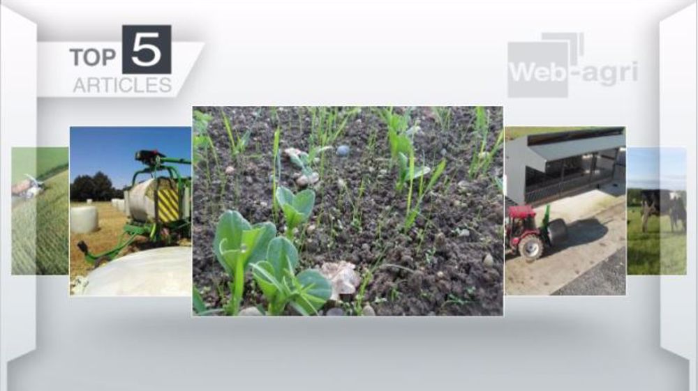 Les cinq articles les plus lus de la semaine sur Web-agri. (©Terre-net Média)