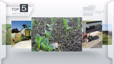 Les cinq articles les plus lus de la semaine sur Web-agri. (©Terre-net Média)