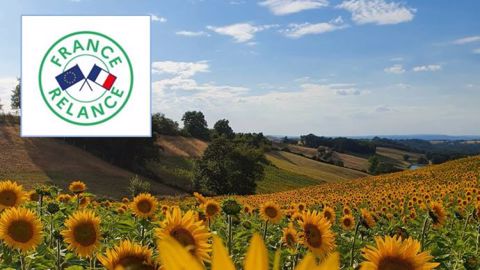 Des premières mesures du plan de relance vont être mises en place d'ici début janvier, a annoncé le 17 novembre le ministère de l'agriculture (©@LoranG76 (FranceAgriTwittos))