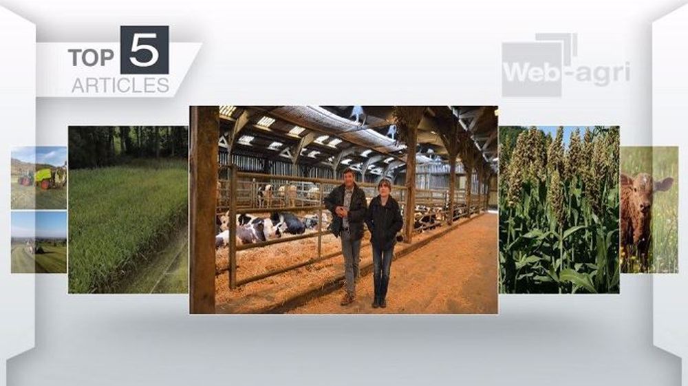 Top articles de Web-agri cette semaine. (©Terre-net Média)