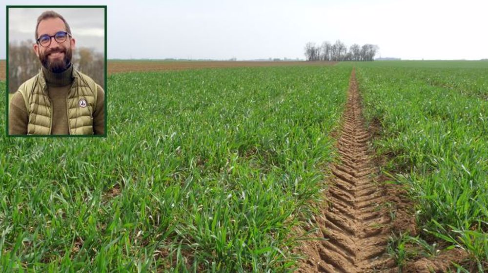 Compte-tenu d’une faible pression maladies durant la campagne 2019-2020, Jean Harent a effectué un seul passage fongicide, avec l'appui des OAD. (©Terre-net Média)